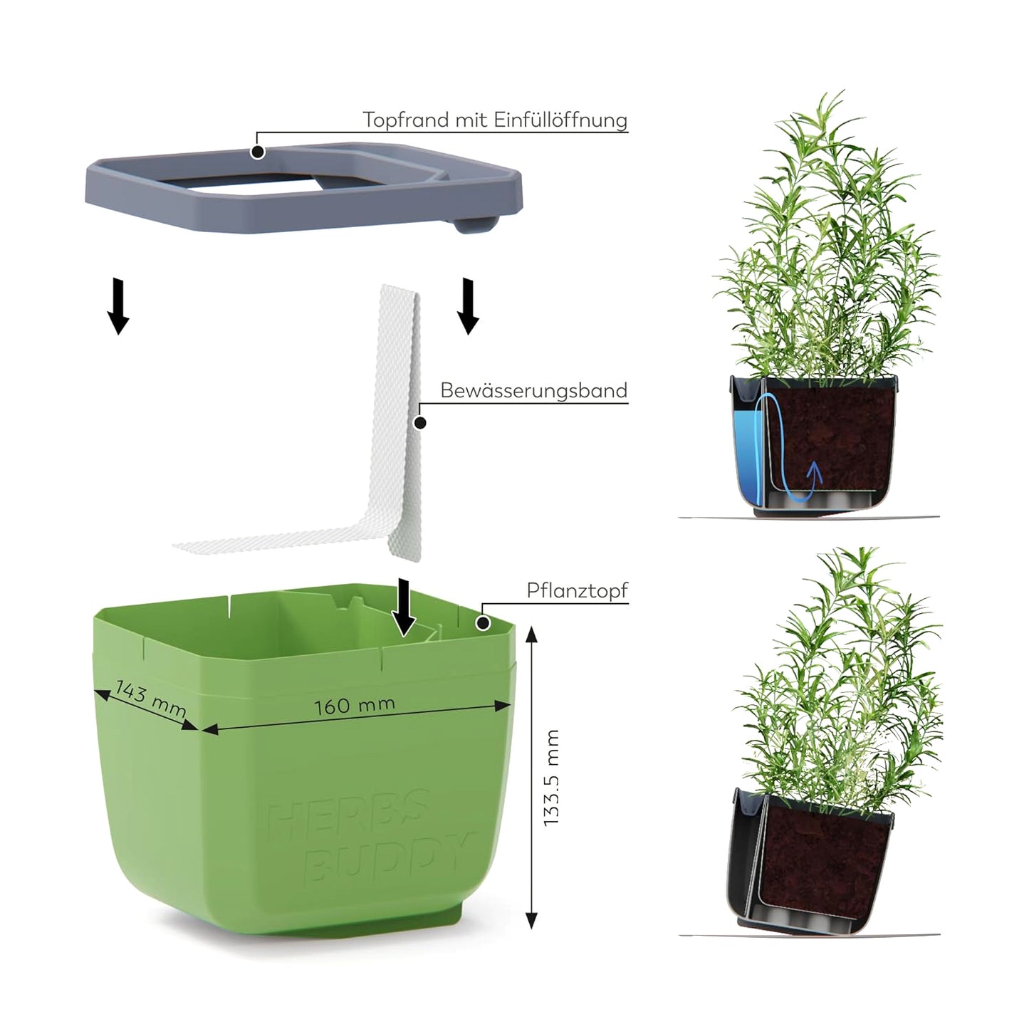  HERBS BUDDY Kräutertopf Blau