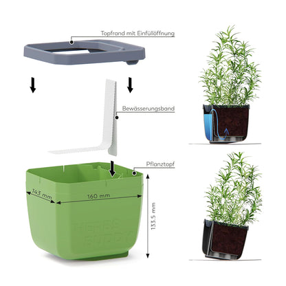  HERBS BUDDY Kräutertopf Blau