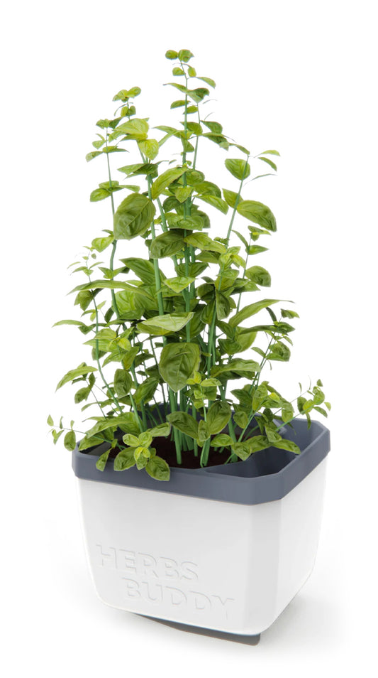  HERBS BUDDY Kräutertopf Weiß