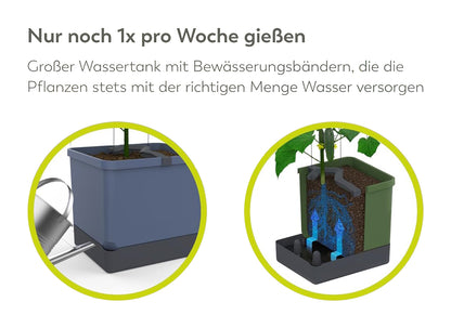  CURT CUCUMBER Gurkentopf Hellgrau