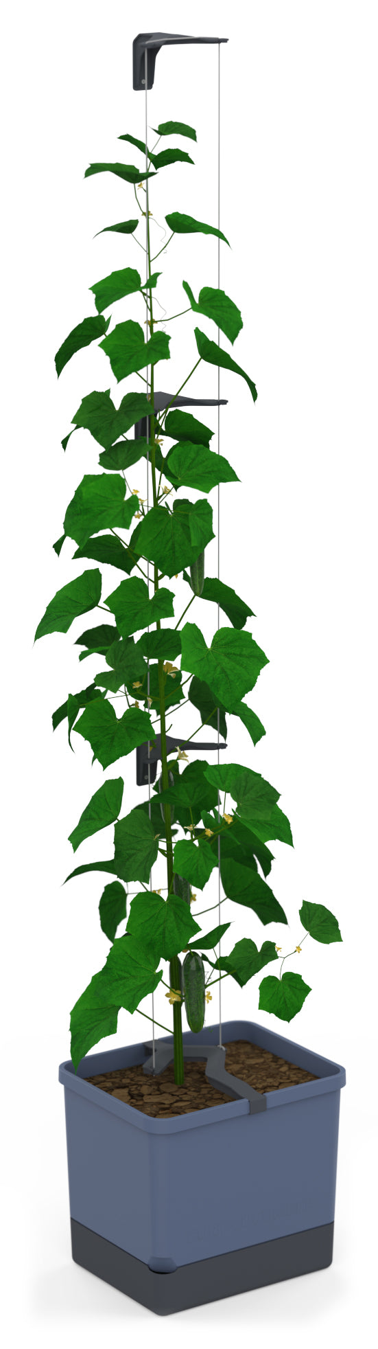  CURT CUCUMBER Gurkentopf Blau