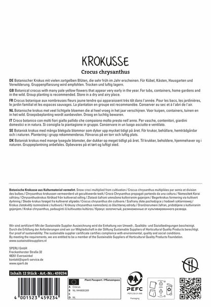  Wildkrokus Romance (12 Stück)