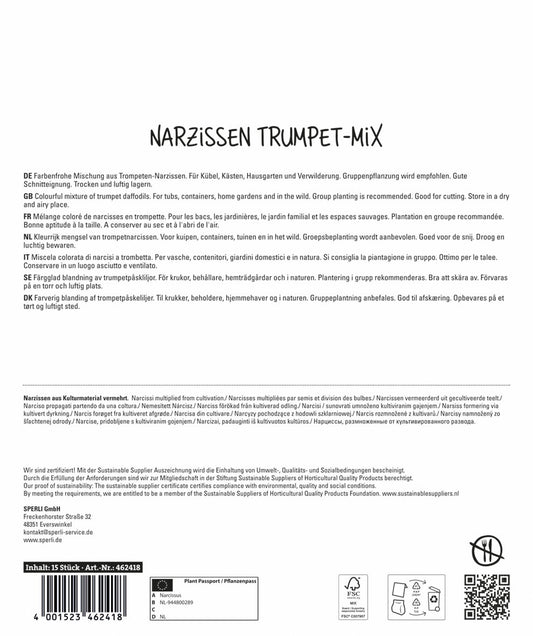 Maxi Trompeten-Narzissen Mischung (15 Stück)