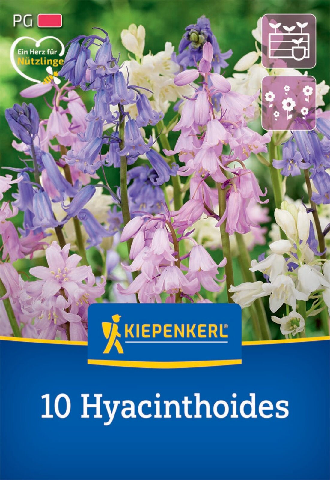  Hasenglöckchen Mischung (10 Stück)