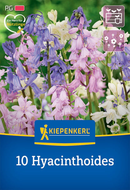  Hasenglöckchen Mischung (10 Stück)