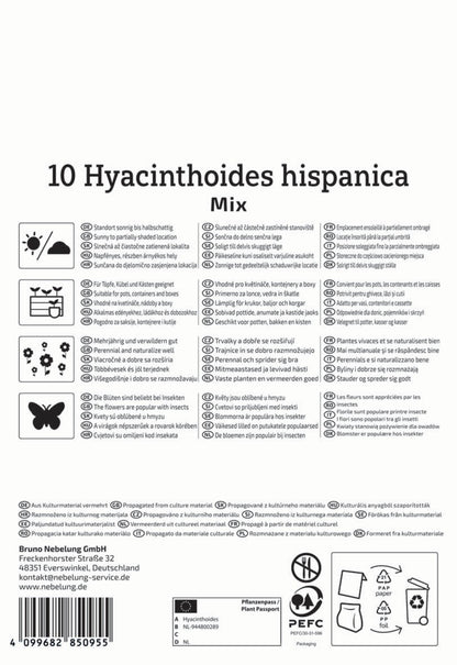  Hasenglöckchen Mischung (10 Stück)