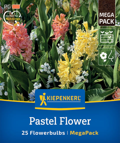  Mega-Pack Blumenzwiebelmischung Pastel Flower (25 Stück)