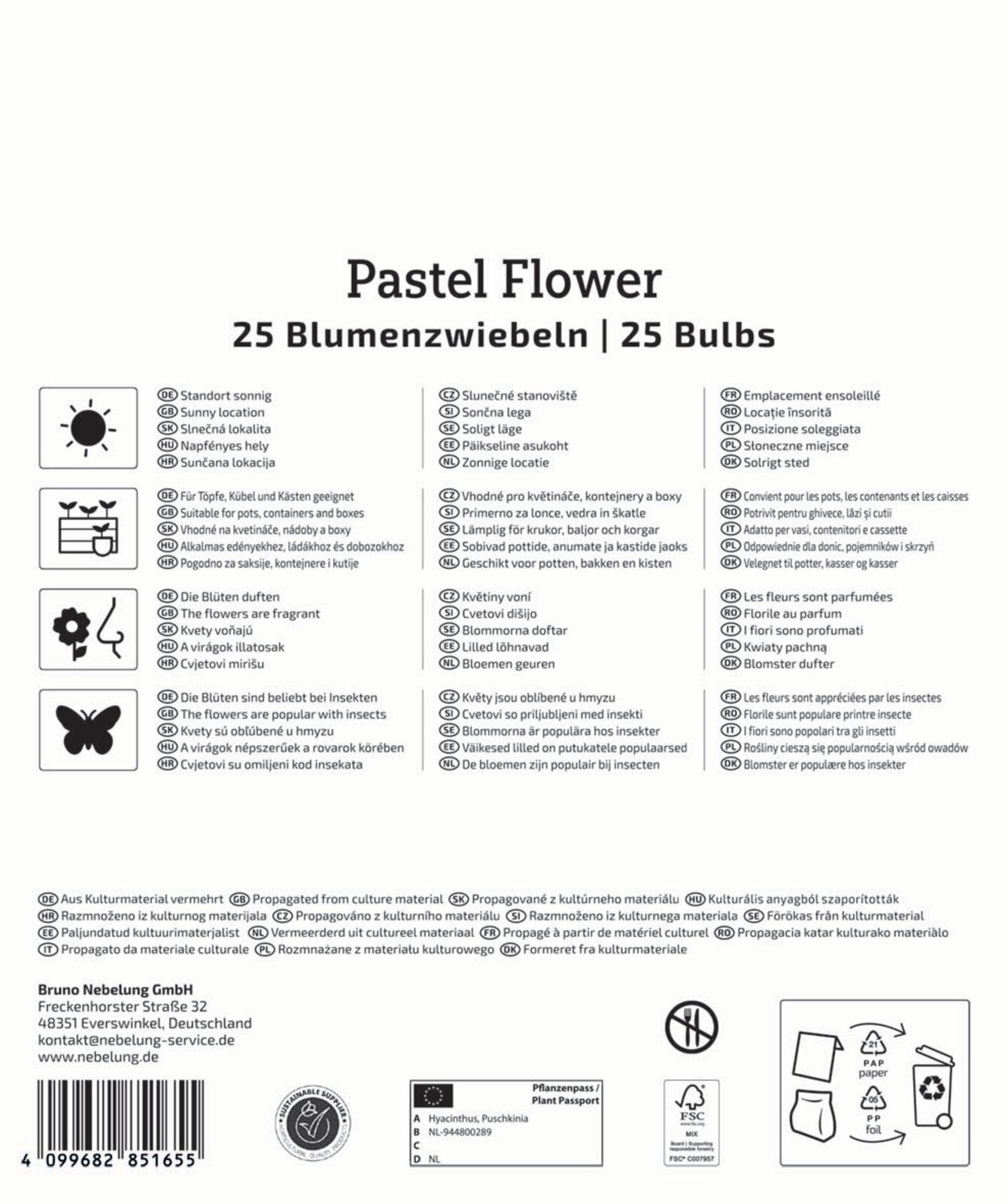  Mega-Pack Blumenzwiebelmischung Pastel Flower (25 Stück)