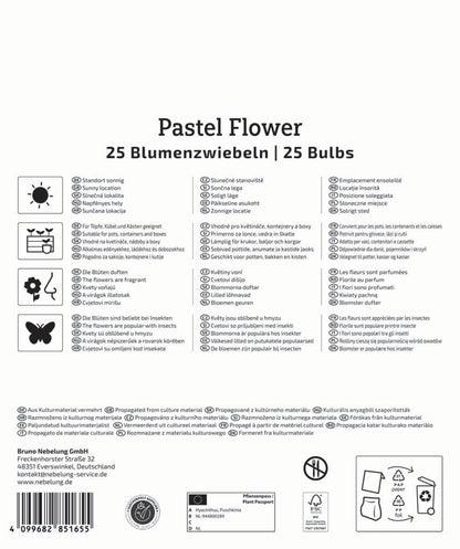  Mega-Pack Blumenzwiebelmischung Pastel Flower (25 Stück)