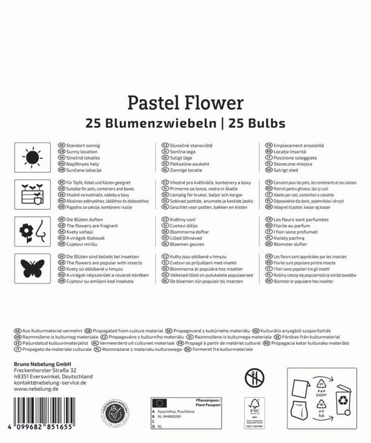  Mega-Pack Blumenzwiebelmischung Pastel Flower (25 Stück)