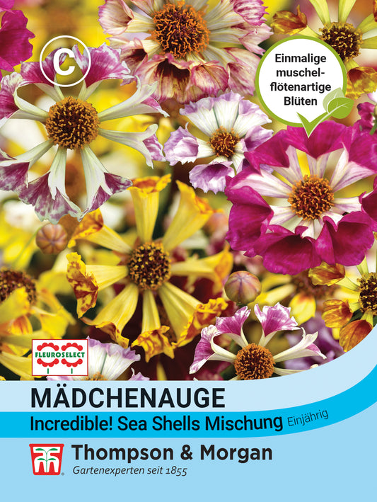  Mädchenauge Incredible! Sea Shells Mischung
