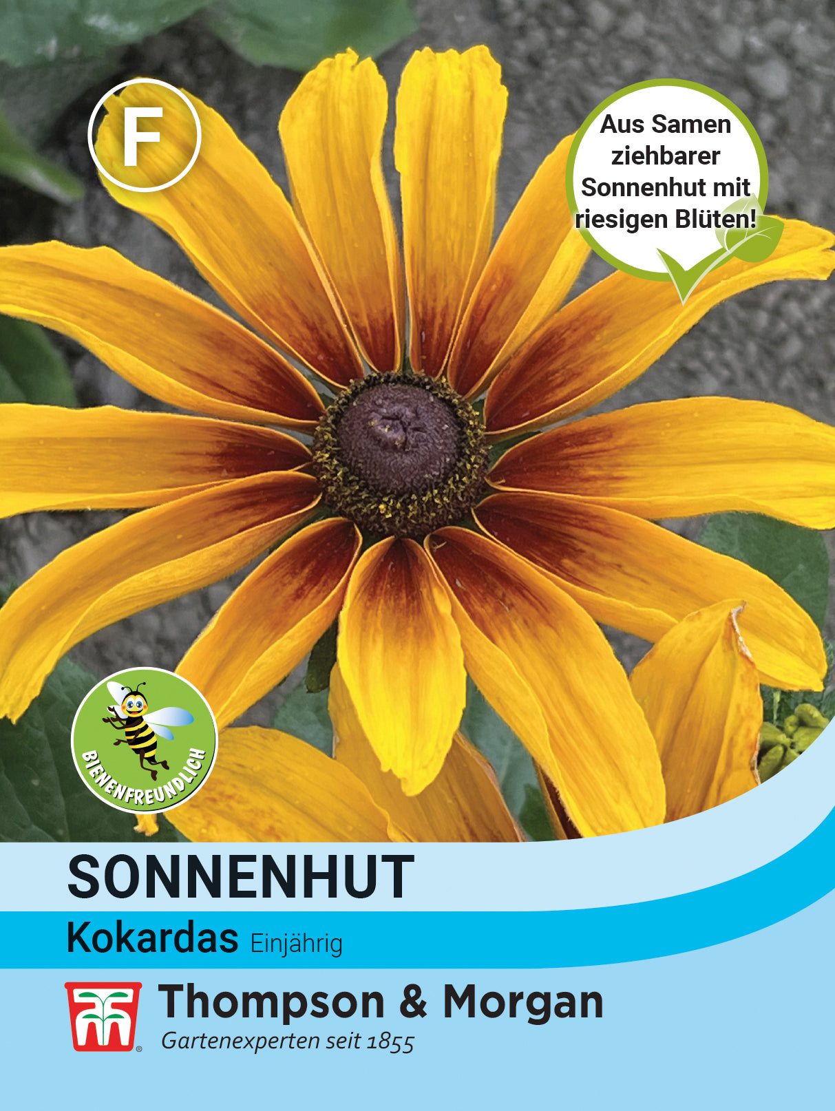  Sonnenhut Kokardas