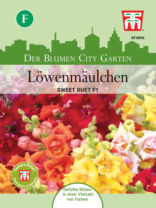  Löwenmäulchen Sweet Duet F1