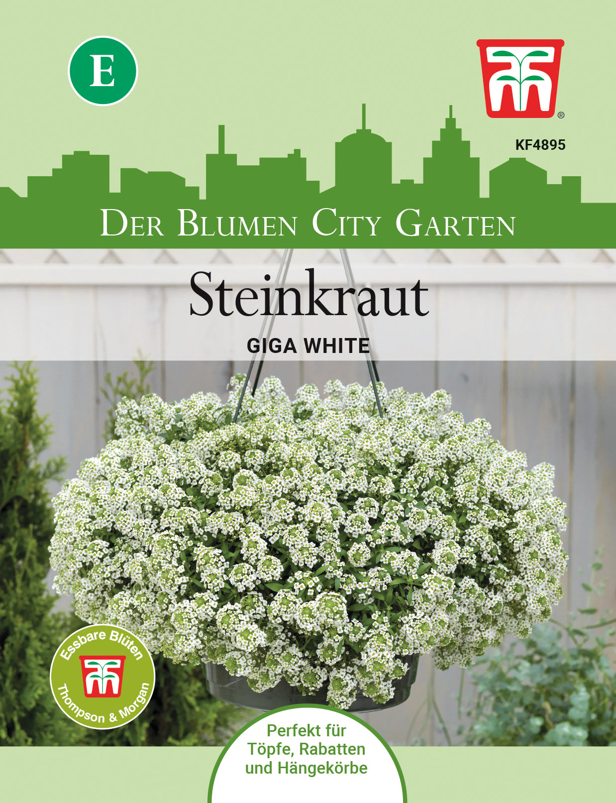  Steinkraut Giga White
