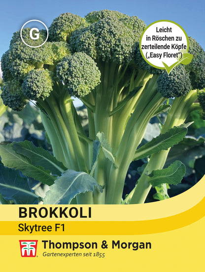  Brokkoli (Easy Floret) Skytree F1