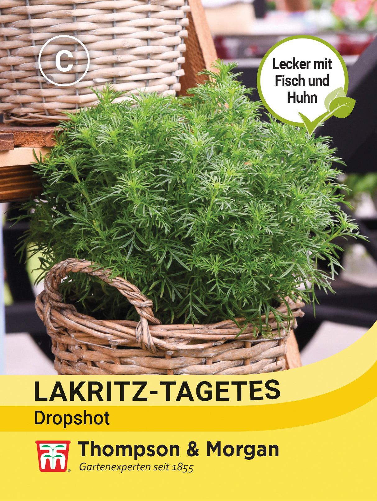  Kräuter Lakritz-Tagetes Dropshot