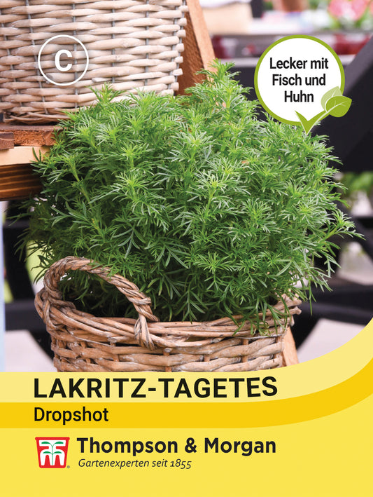  Kräuter Lakritz-Tagetes Dropshot