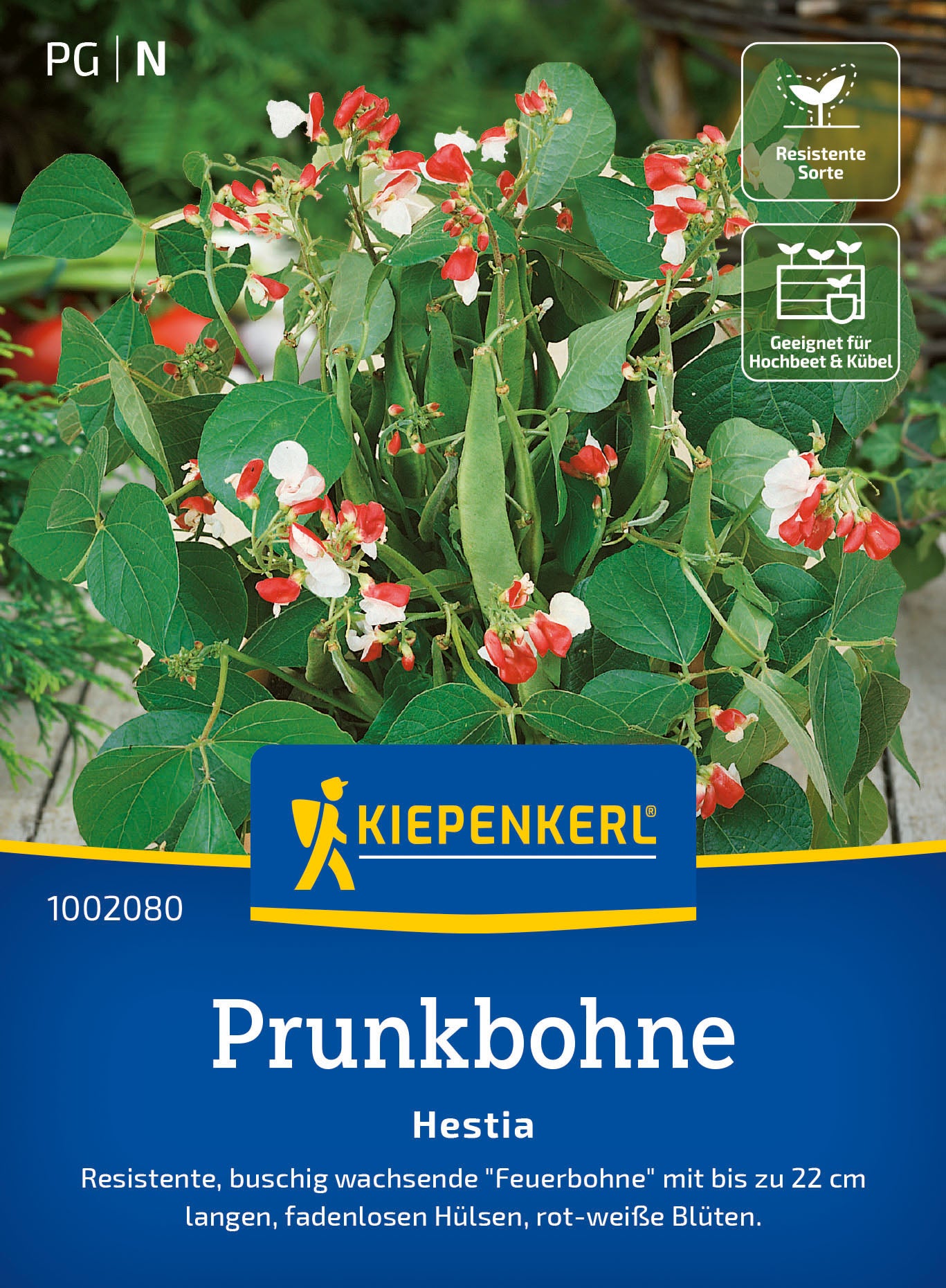  Prunkbohne Hestia