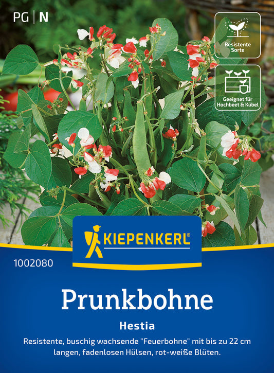  Prunkbohne Hestia