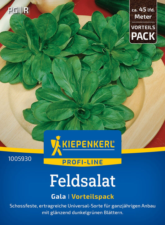  Feldsalat Gala (10 G)