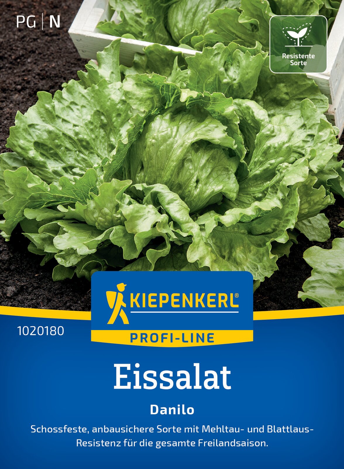 Eissalat Danilo