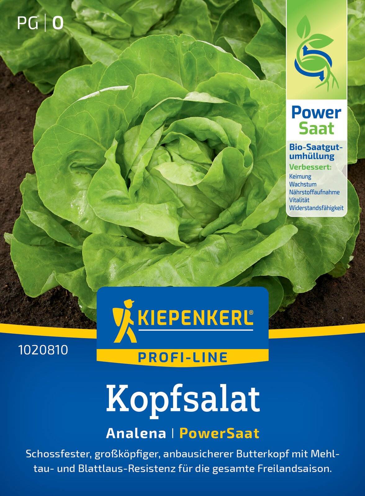  Kopfsalat Analena (PowerSaat)
