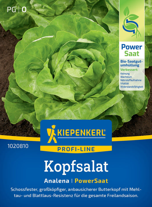  Kopfsalat Analena (PowerSaat)