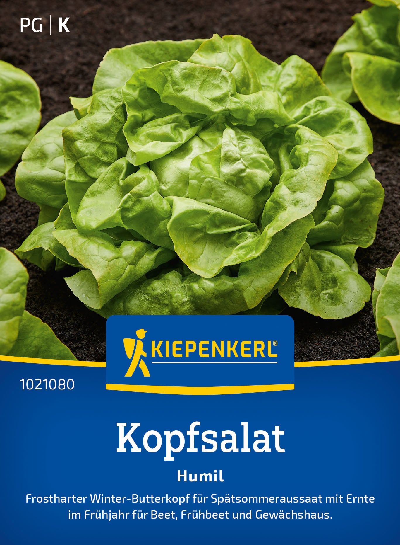  Kopfsalat Humil