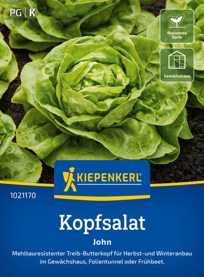  Kopfsalat John