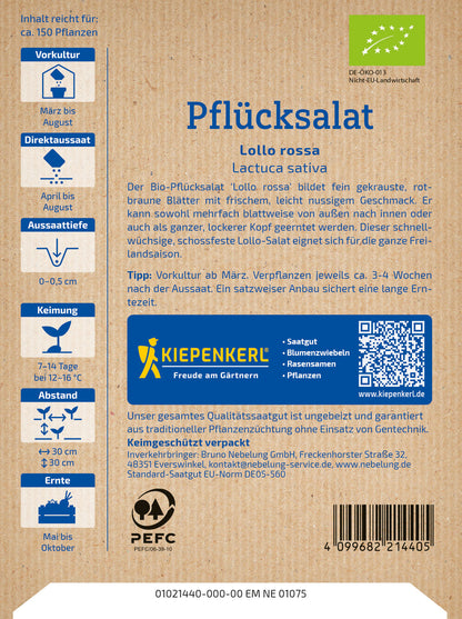  BIO Pflücksalat Lollo Rossa