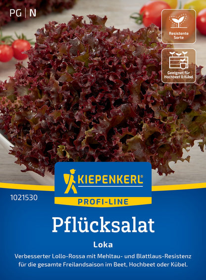  Pflücksalat Loka