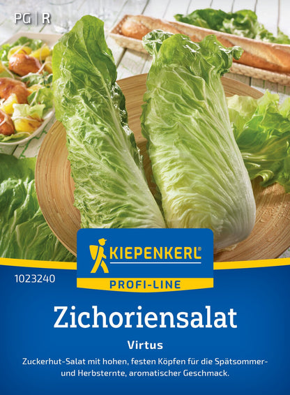  Zichoriensalat Virtus F1 Zuckerhut