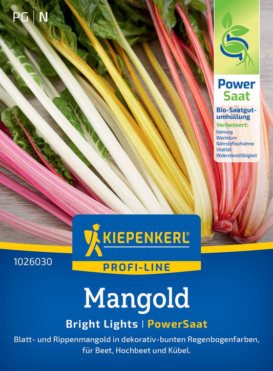  Mangold Bright Lights (PowerSaat)