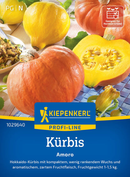  Kürbis Amoro F1