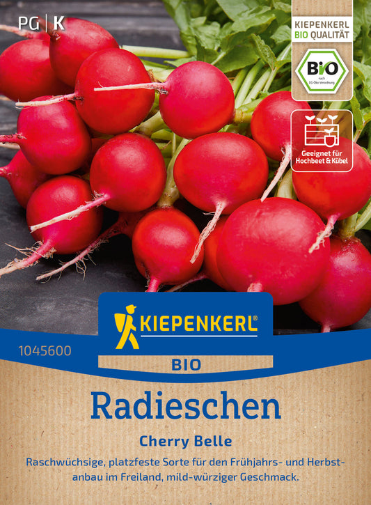  BIO Radieschen Cherry Belle