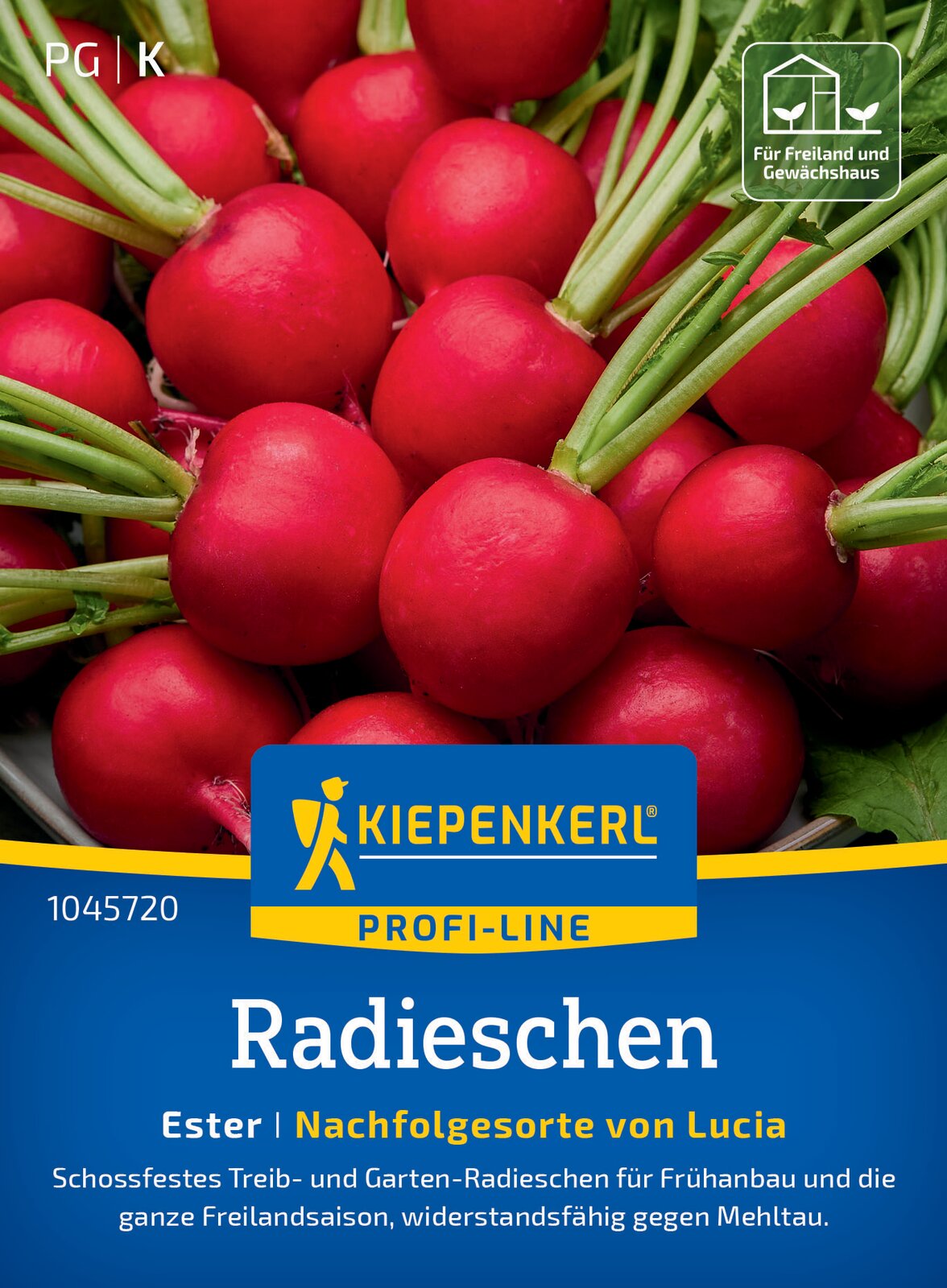  Radieschen Ester F1