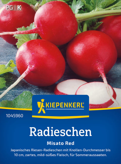  Radieschen Misato Red