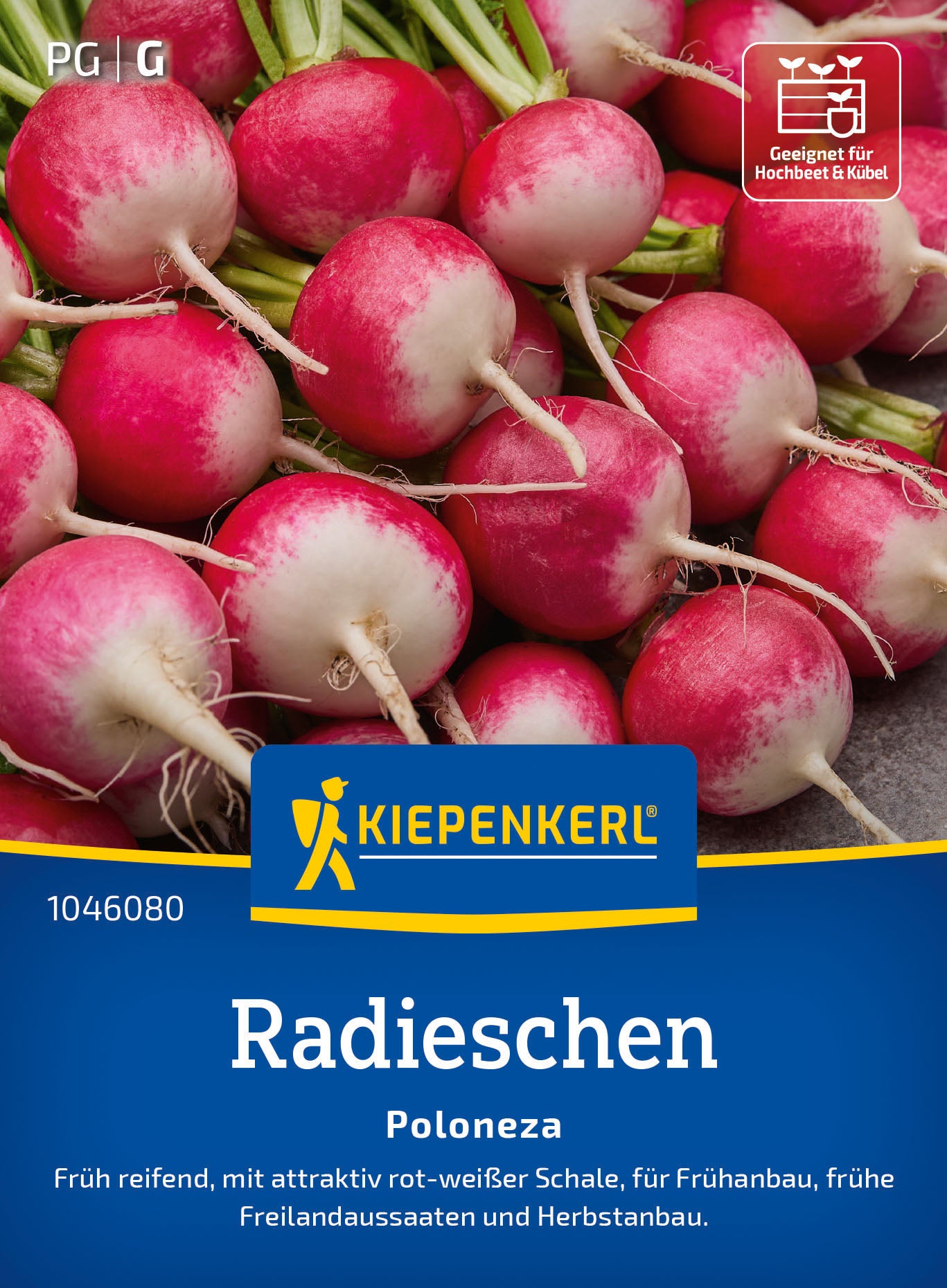  Radieschen Poloneza