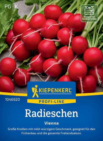  Radieschen Vienna F1