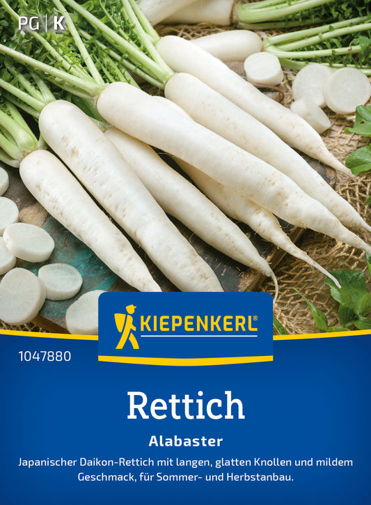  Rettich Alabaster F1