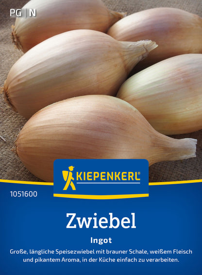  Zwiebel Ingot F1