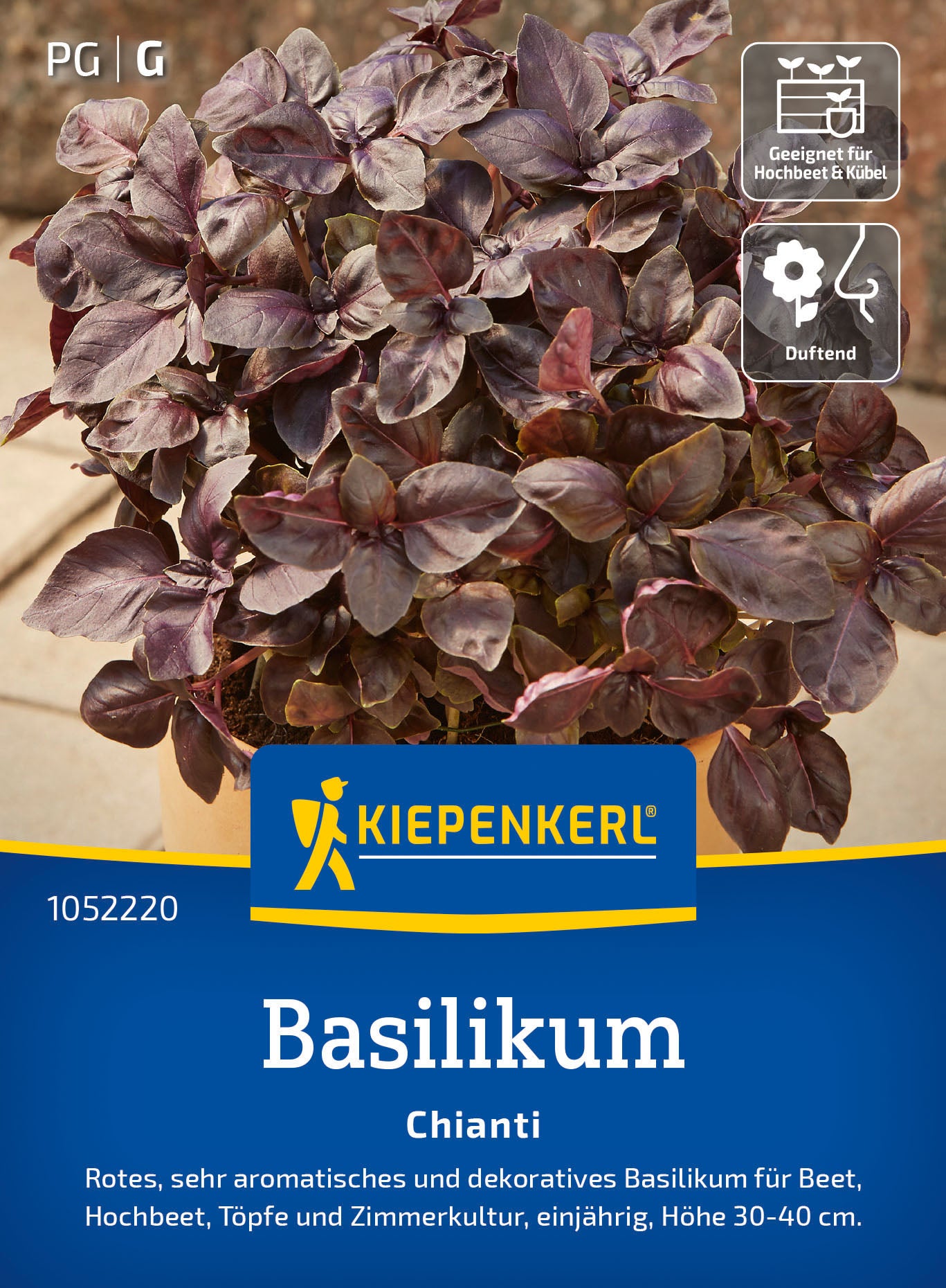  Basilikum Chianti