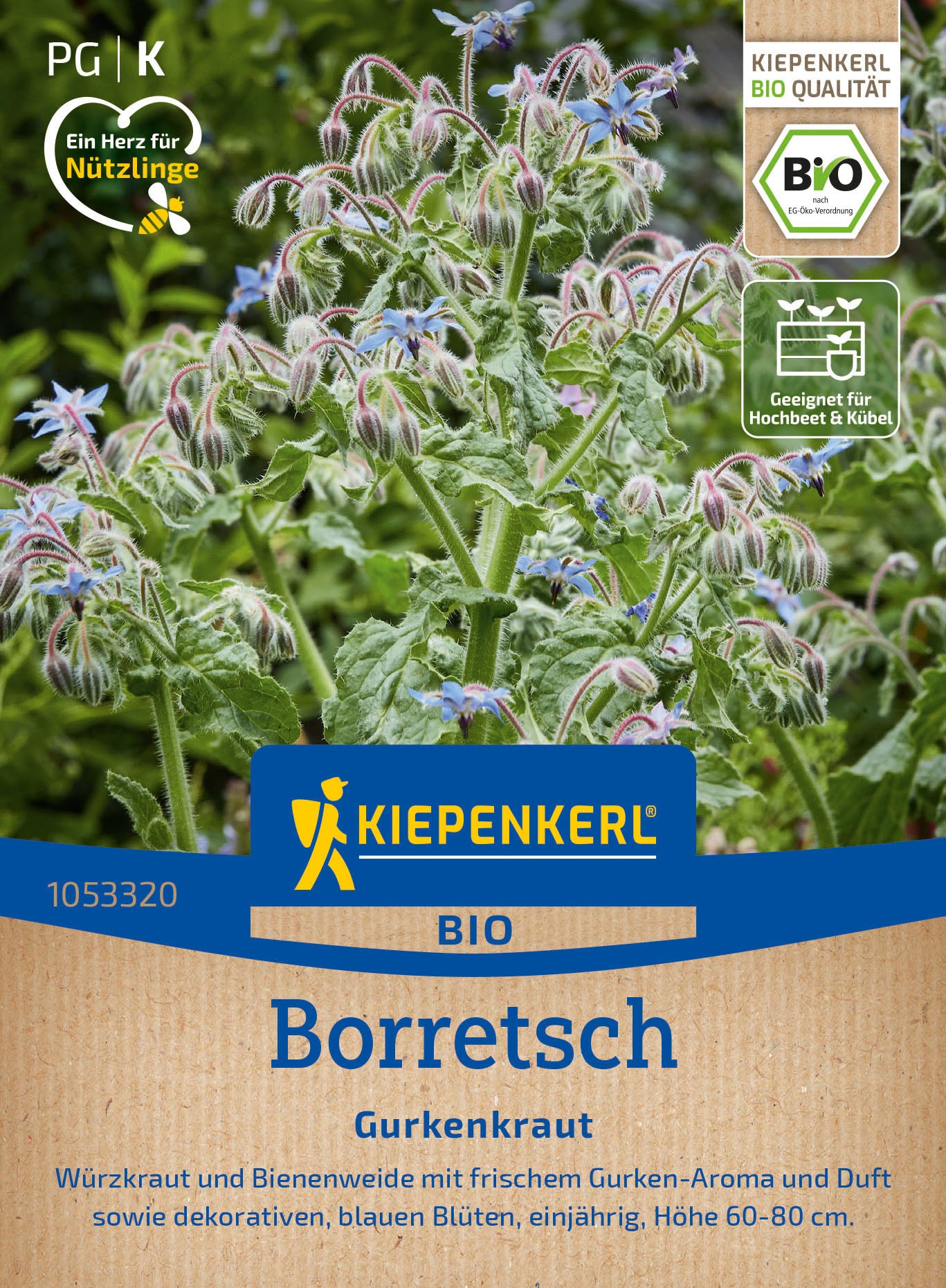  BIO Borretsch Gurkenkraut
