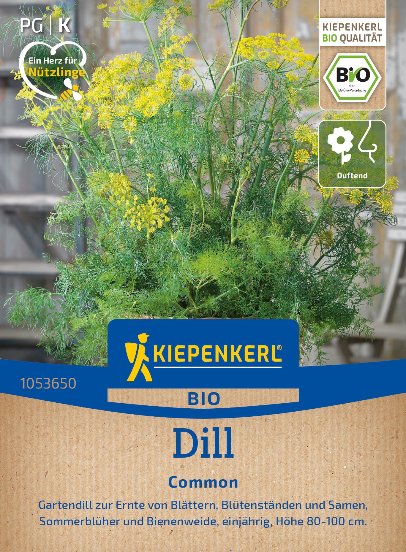  BIO Dill Einjähriger