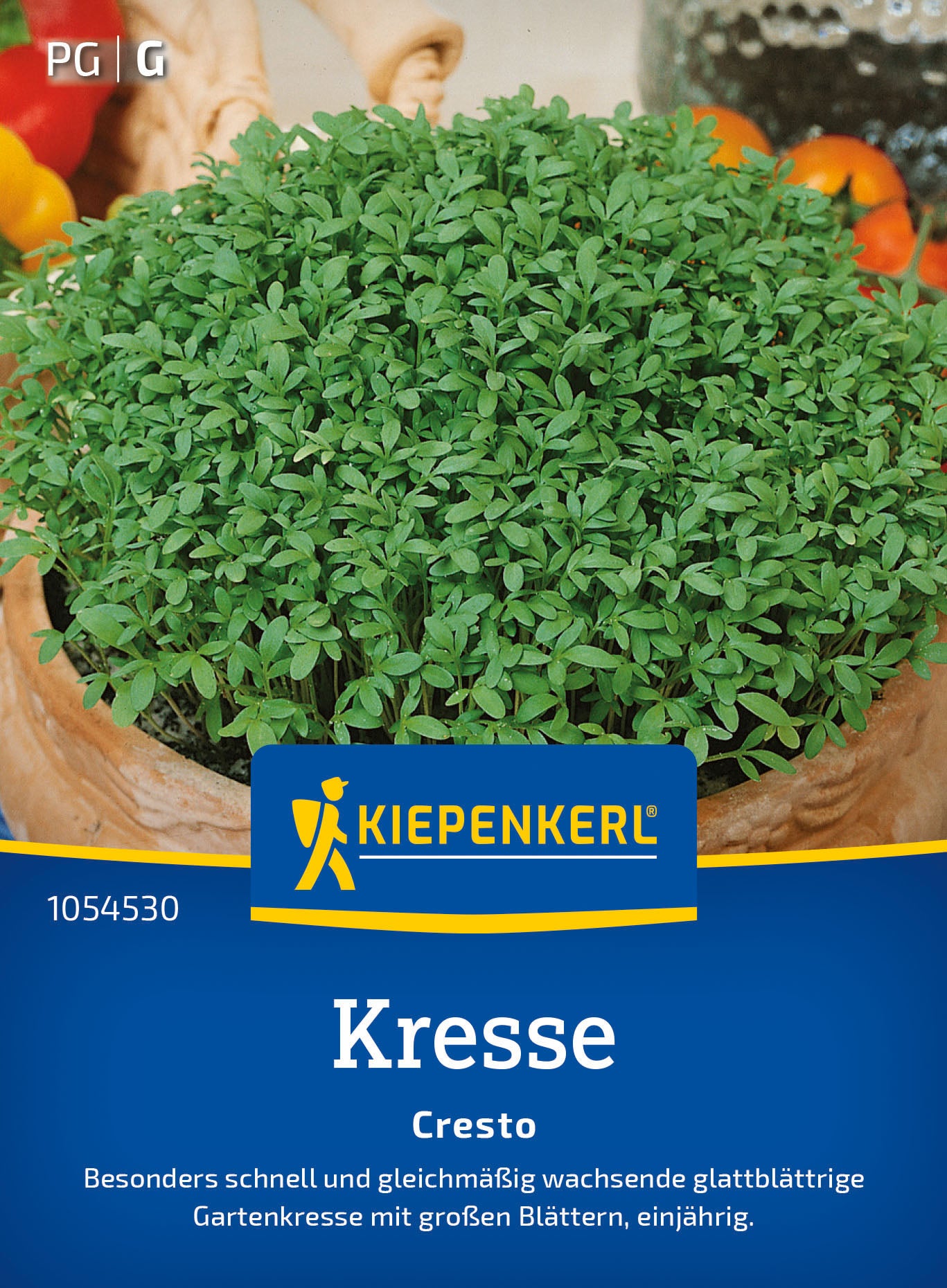  Kresse Cresto (12 G)