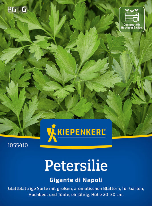  Petersilie Gigante Di Napoli