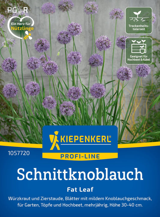  Schnittknoblauch Fat Leaf F1