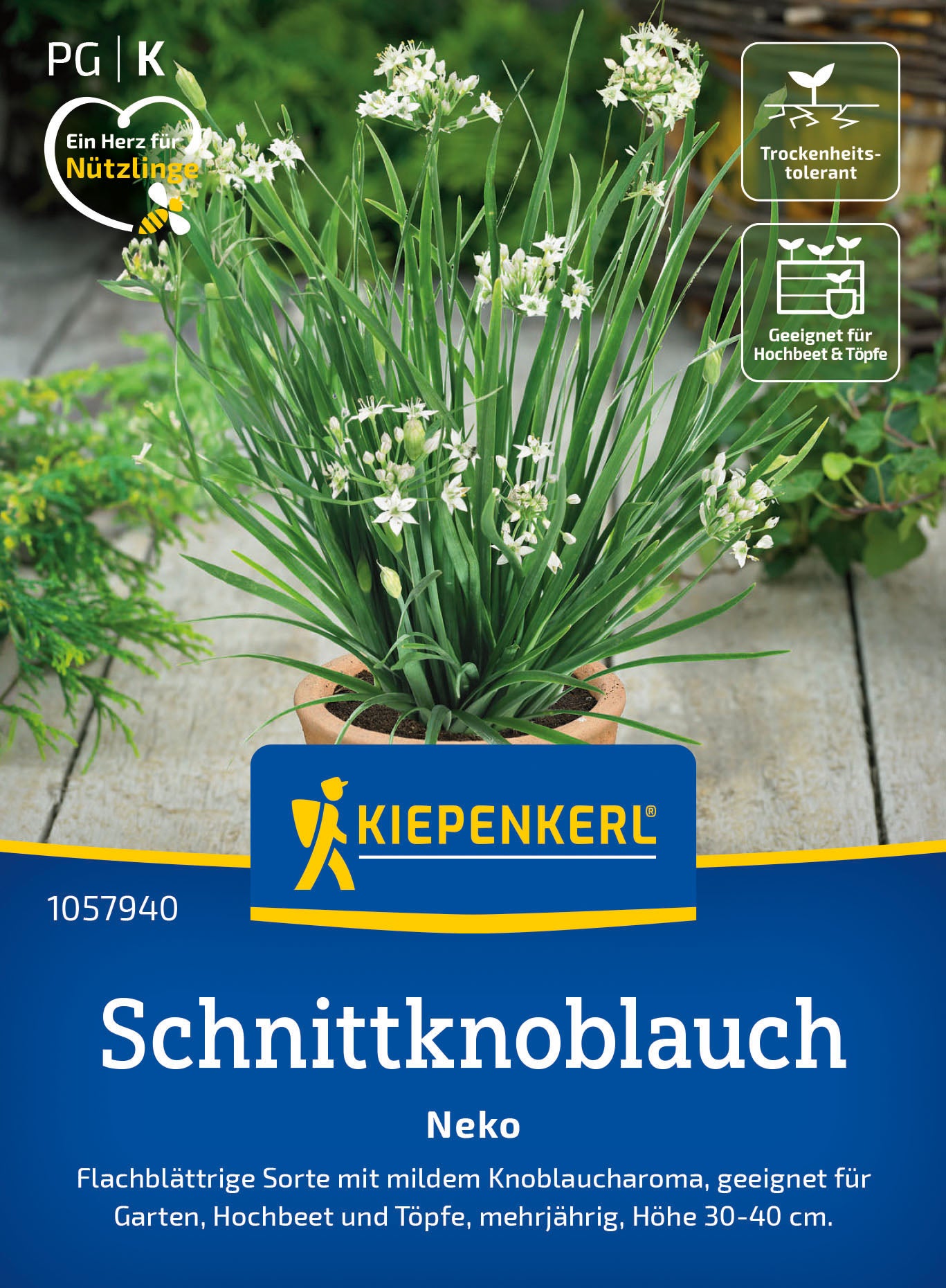  Schnittknoblauch Neko