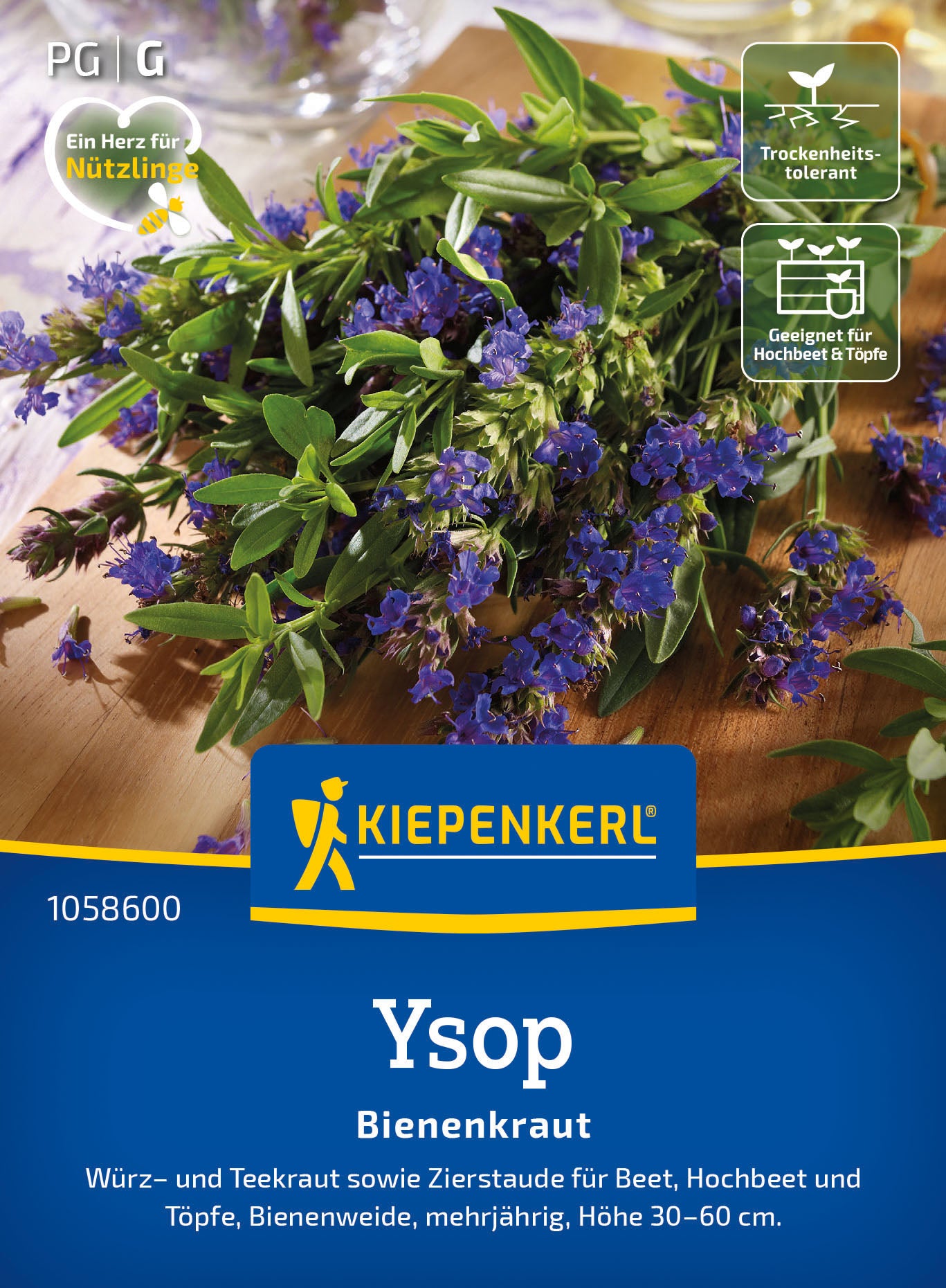  Ysop Bienenkraut