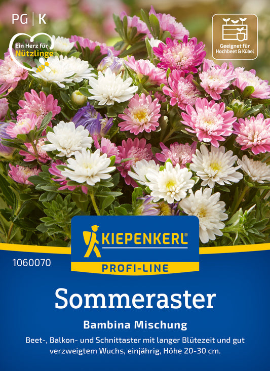  Sommeraster Bambina Mischung